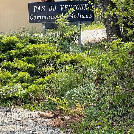 Proche Ventoux Et Vaison La Romaine Avec Piscine Privee 别墅